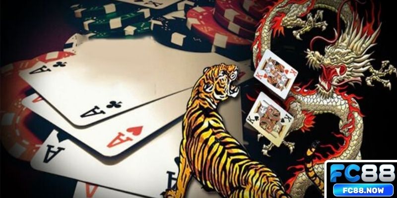 Cẩm nang kiếm thưởng nhờ Dragon Tiger