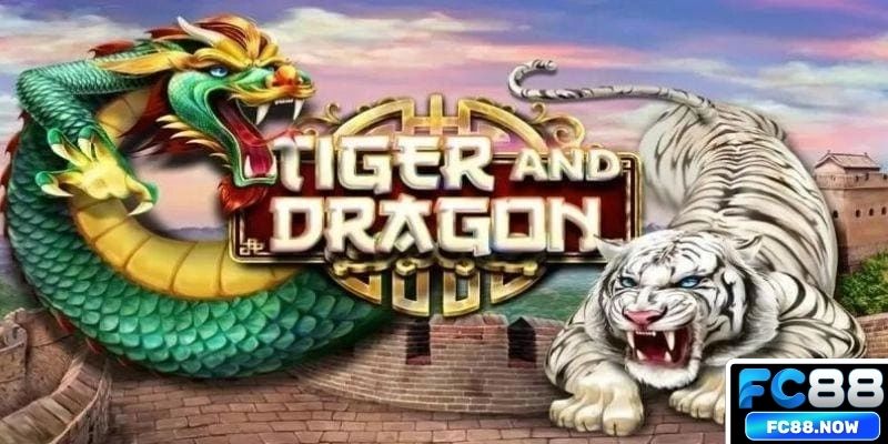 Rồng Hổ